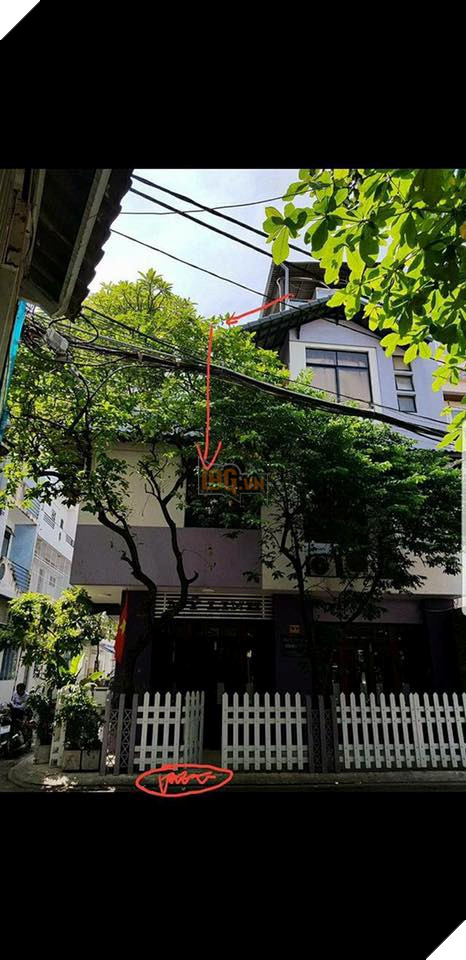   Sự ngáo có vẻ đã lên tới đỉnh điểm   