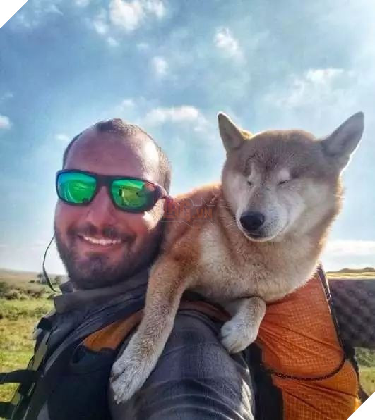 Câu chuyện của chú chó mù bị trầm cảm, được ông chủ cõng đi khắp thế giới cho khuây khỏa - Ảnh 4.