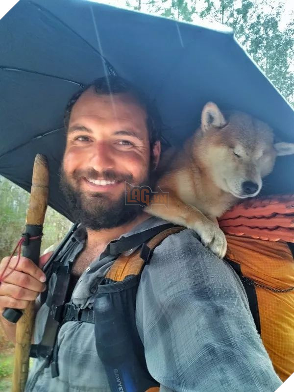 Câu chuyện của chú chó mù bị trầm cảm, được ông chủ cõng đi khắp thế giới cho khuây khỏa - Ảnh 5.