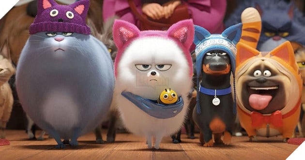 Đẳng cấp thú cưng 2: Cười nghiêng ngả với những chú boss có một không hai 6