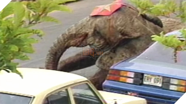  
Cuối cùng nó gục ngã vì 87 phát đạn mà không thể chống đỡ.