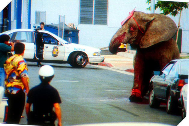  
Tyke bị dồn vào chân tường, ánh mắt nó đỏ rực vì kích động, đau đớn, sợ hãi và căm thù trong khi máu tuôn xối xả từ những vết thương trên người nó.