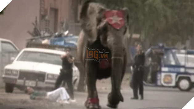  
Cảnh sát rượt theo và nã đạn vào người con voi tội nghiệp.