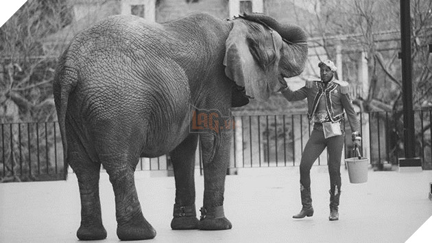  
Tyke cùng người huấn luyện thú mà nó rất gắn bó, người hiếm hoi không đánh đập nó.