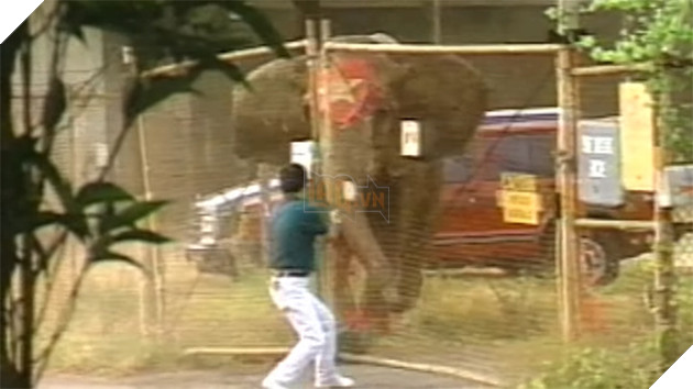  
Nó đạp hàng rào và xông ra phố.