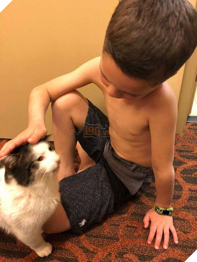 Cùng màu mắt, cùng bị tật ở miệng, số phận đã an bài cho cậu bé đáng thương và chú mèo hoang trở thành tri kỷ - Ảnh 3.