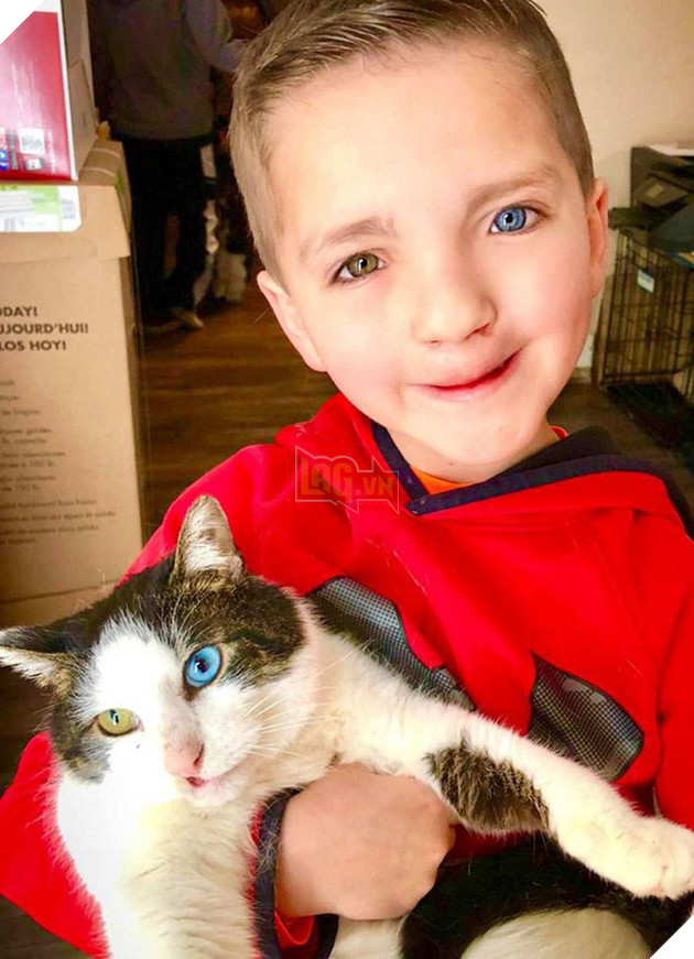 Cùng màu mắt, cùng bị tật ở miệng, số phận đã an bài cho cậu bé đáng thương và chú mèo hoang trở thành tri kỷ - Ảnh 2.