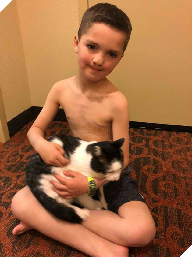 Cùng màu mắt, cùng bị tật ở miệng, số phận đã an bài cho cậu bé đáng thương và chú mèo hoang trở thành tri kỷ - Ảnh 5.