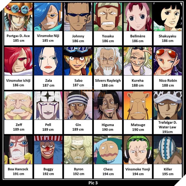 One Piece: Tổng hợp chiều cao thực tế của tất cả những nhân vật từng xuất hiện 3