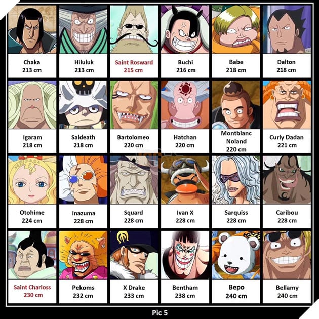 One Piece: Tổng hợp chiều cao thực tế của tất cả những nhân vật từng xuất hiện 5