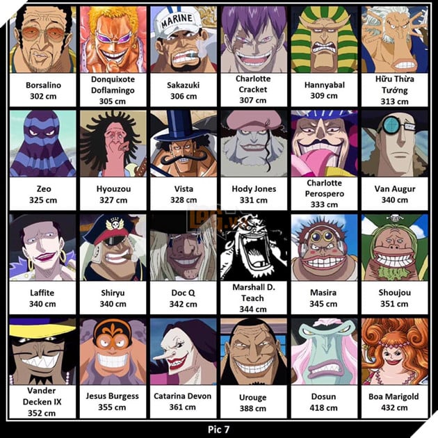One Piece: Tổng hợp chiều cao thực tế của tất cả những nhân vật từng xuất hiện 7