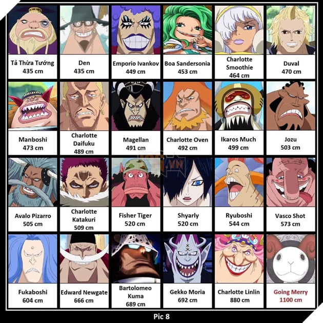 One Piece: Tổng hợp chiều cao thực tế của tất cả những nhân vật từng xuất  hiện