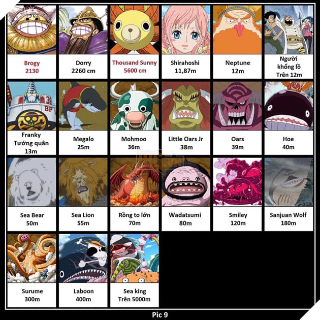 One Piece: Tổng hợp chiều cao thực tế của tất cả những nhân vật từng xuất hiện 9