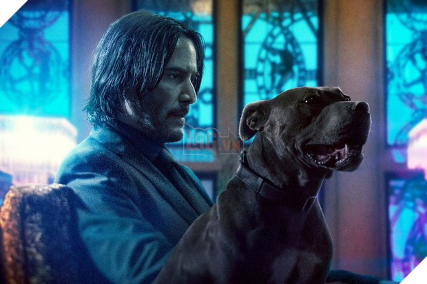 Ngôi sao John Wick đang đàm phán để bước vào Vũ trụ điện ảnh Marvel