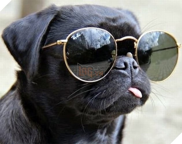 Chill có nghĩa gì? Định nghĩa từ Chill trong mọi hoàn cảnh và cách dùng chính xác nhất mà không sợ sai 2