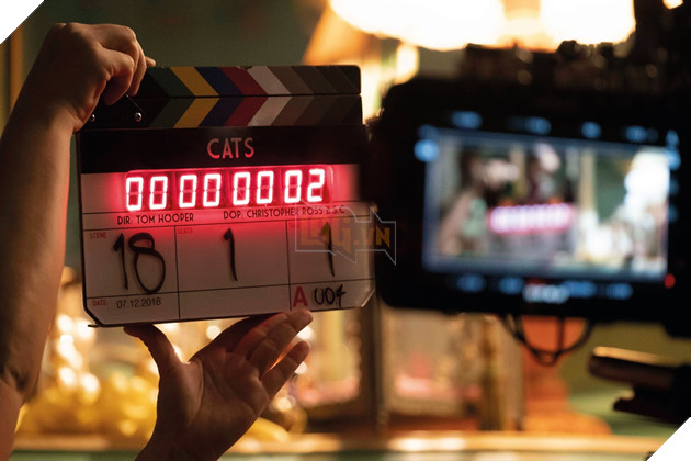 Các bộ phim lấy đề tài âm nhạc đầy hứa hẹn trong nửa cuối năm 2019 5