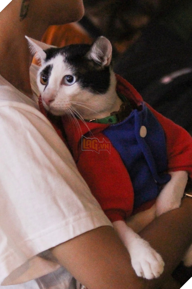 King's Cup 2019: Hồi hộp đến vỡ oà, Việt Nam khẳng định ngôi vương Đông Nam Á trước Thái Lan 10