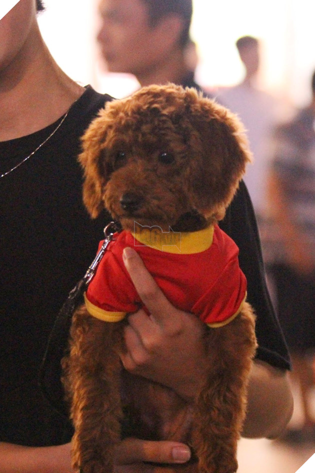 King's Cup 2019: Hồi hộp đến vỡ oà, Việt Nam khẳng định ngôi vương Đông Nam Á trước Thái Lan 9