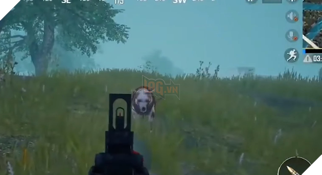 Hé lộ bản cập nhật 0.13.0 của PUBG sẽ có chó zombie, pet và cả chế độ chơi mới