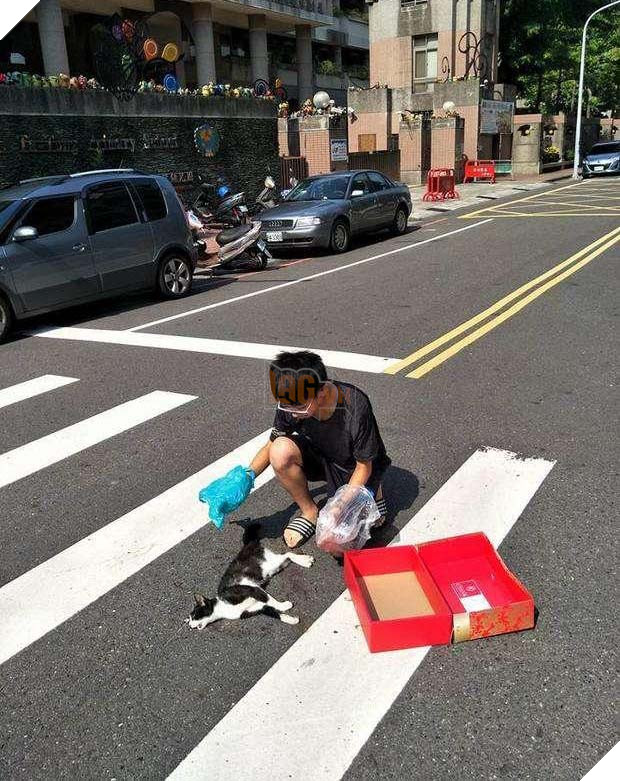 Hành động nhỏ của cậu bé với chú mèo đã chết khiến người đi đường không khỏi khâm phục và tôn trọng 2