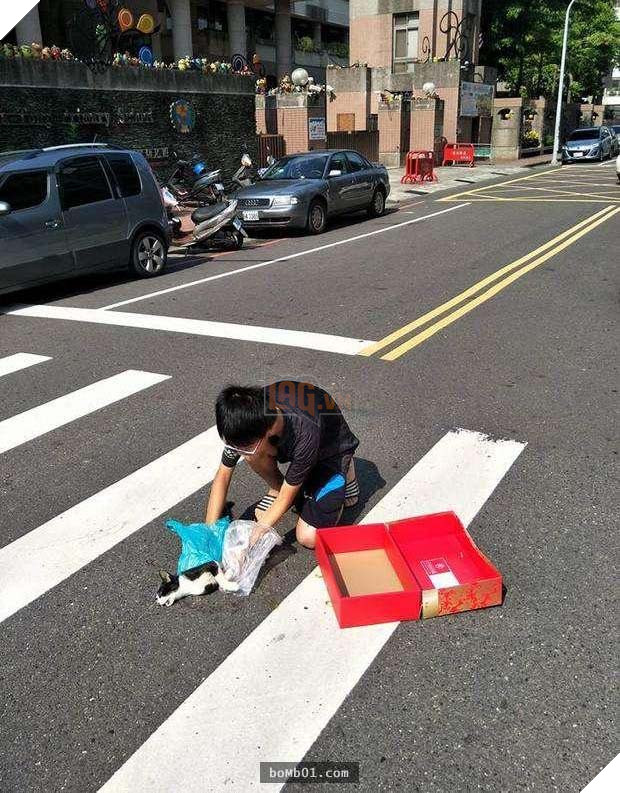 Hành động nhỏ của cậu bé với chú mèo đã chết khiến người đi đường không khỏi khâm phục và tôn trọng 4