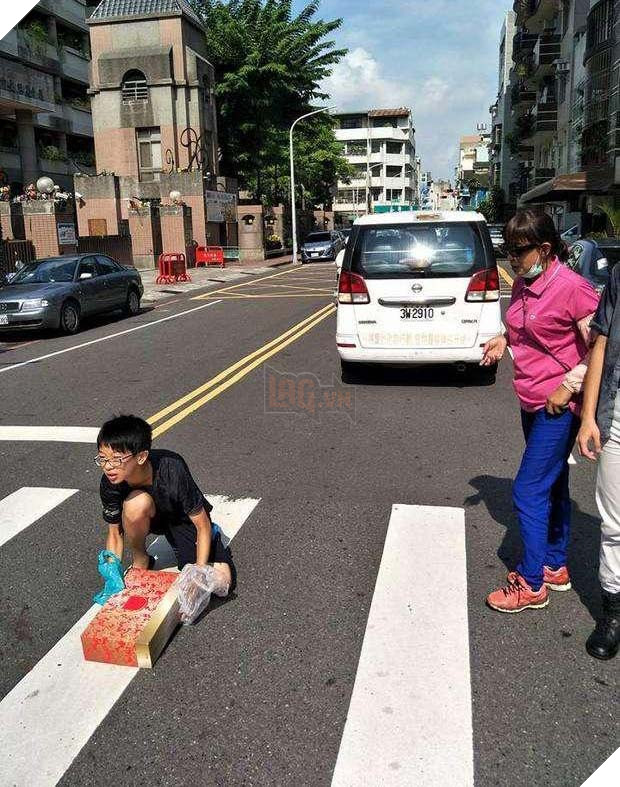 Hành động nhỏ của cậu bé với chú mèo đã chết khiến người đi đường không khỏi khâm phục và tôn trọng 6