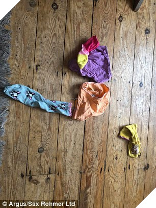 Chú mèo chuyên đi dòm trộm vào nhà người khác, canh me để trộm đồ lót về nhà…tặng chủ 3