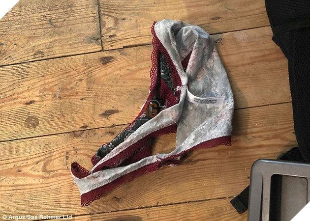 Chú mèo chuyên đi dòm trộm vào nhà người khác, canh me để trộm đồ lót về nhà…tặng chủ 2