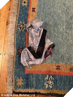 Chú mèo chuyên đi dòm trộm vào nhà người khác, canh me để trộm đồ lót về nhà…tặng chủ 4