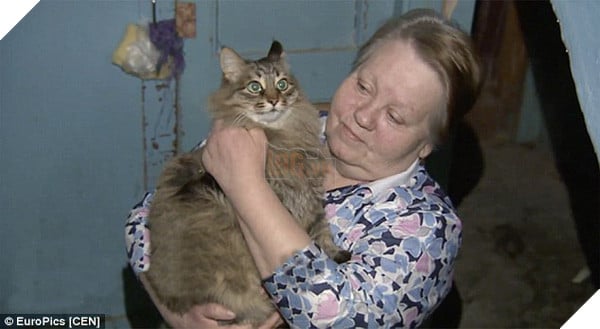 Chú mèo béo ú này đã dùng mỡ và lông của mình để sưởi ấm cứu sống 1 bé trai bị bỏ rơi giữa mùa đông lạnh giá 3