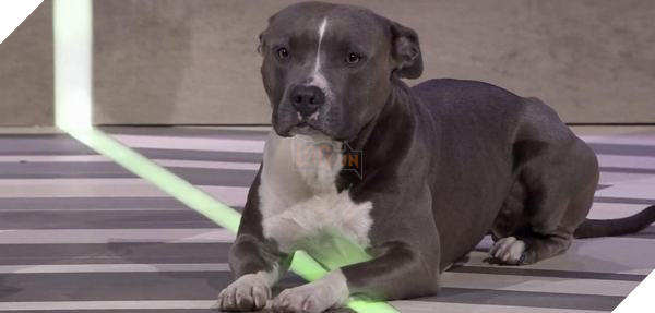 E3 2019: Những khoảnh khắc tuyệt vời nhất trên sân khấu E3 3