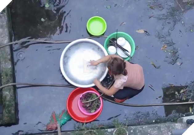 Ăn mừng kênh Youtube 20k subcribers, con trai cưng đổ thau trứng lên đầu mẹ rồi quay clip khoe như chiến tích - Ảnh 1.