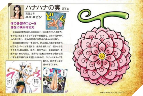 One Piece: Hé lộ hình dáng thật trái Ác Quỷ của Robin và Chopper khiến fan bất ngờ 3