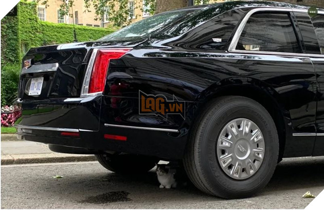 Con mèo mập địt Larry cản trở chuyến thăm của Tổng thống Trump bằng cách ngủ banh mắt dưới gầm xe của ổng