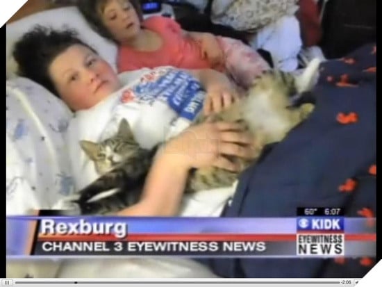 Một chú mèo đã cắn xé cào cấu người chủ của mình vì không cho nó ra ngoài rượt trai 7