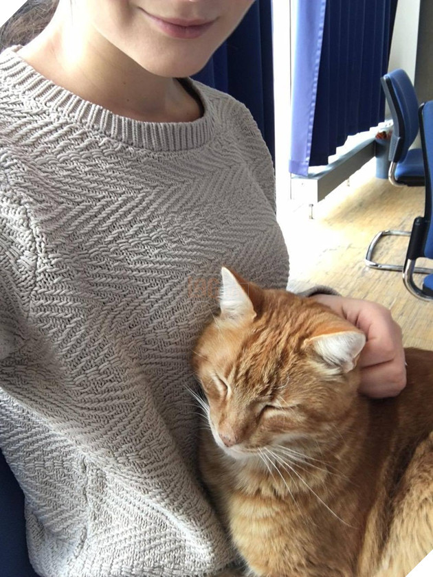 Không ăn ngủ và phá rối như con Bubba, chú mèo này tới trường để giúp xoa dịu tinh thần, xả stress cho sinh viên 14