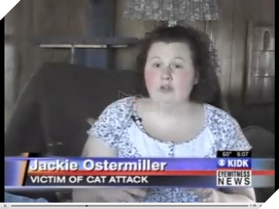 Một chú mèo đã cắn xé cào cấu người chủ của mình vì không cho nó ra ngoài rượt trai