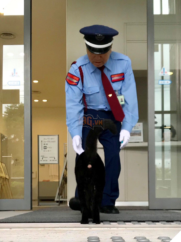 2 con mèo tìm mọi cách lẻn vào viện bảo tàng trong suốt 2 năm chỉ vì mê… 3