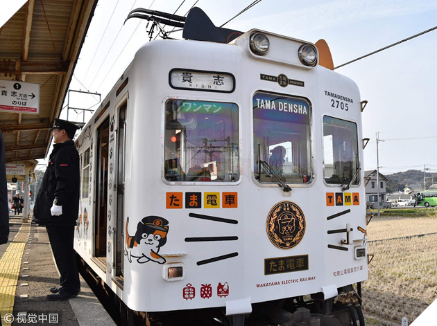 Tama: Từ con mèo hoang đến “trưởng ga tàu” nổi tiếng nhất cả nước, biểu tượng văn hóa đáng tự hào của Nhật Bản - Ảnh 4.