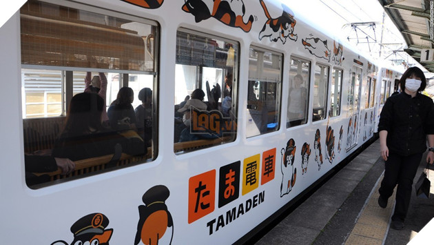 Tama: Từ con mèo hoang đến “trưởng ga tàu” nổi tiếng nhất cả nước, biểu tượng văn hóa đáng tự hào của Nhật Bản - Ảnh 5.