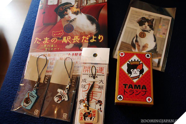 Tama: Từ con mèo hoang đến “trưởng ga tàu” nổi tiếng nhất cả nước, biểu tượng văn hóa đáng tự hào của Nhật Bản - Ảnh 7.