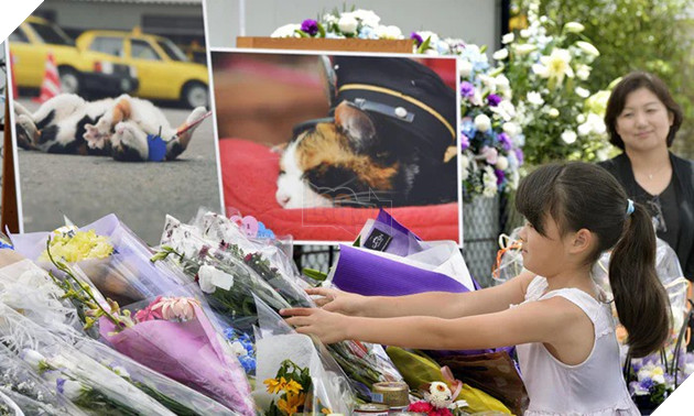 Tama: Từ con mèo hoang đến “trưởng ga tàu” nổi tiếng nhất cả nước, biểu tượng văn hóa đáng tự hào của Nhật Bản - Ảnh 9.