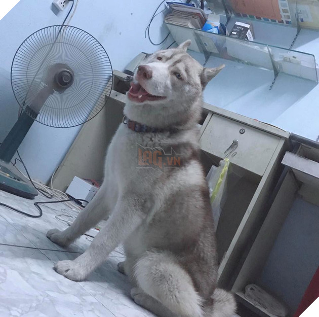  
Gương mặt "gợi đòn" của kẻ "cướp chồng" người khác.