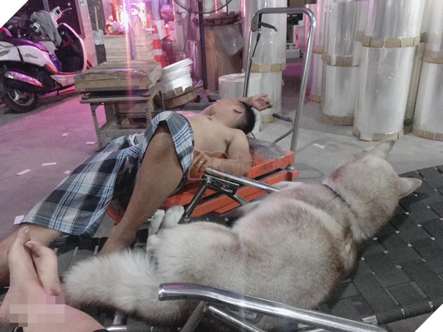  
Nằm ngủ cũng phải gần nhau nhé