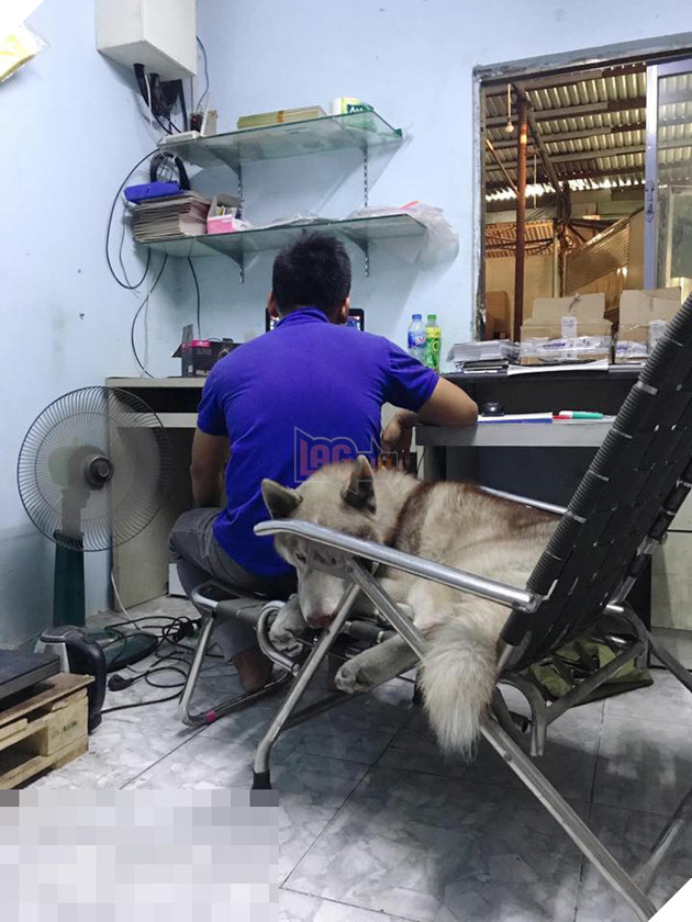  
Lúc nào cũng kè kè bên chồng thì cô vợ nào mà không tức chứ?