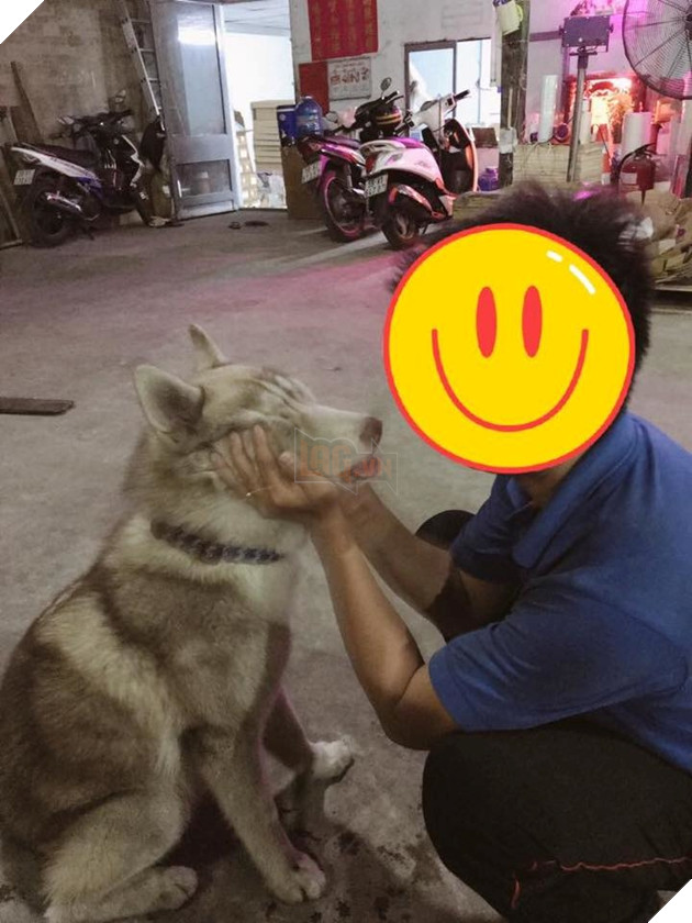  
Cùng đi chơi và bơ cả vợ.