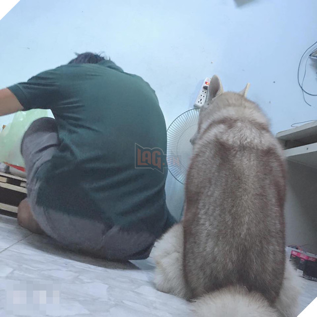  
Riết rồi đến tướng ngồi nhìn từ sau cũng giống nhau tới vậy đấy