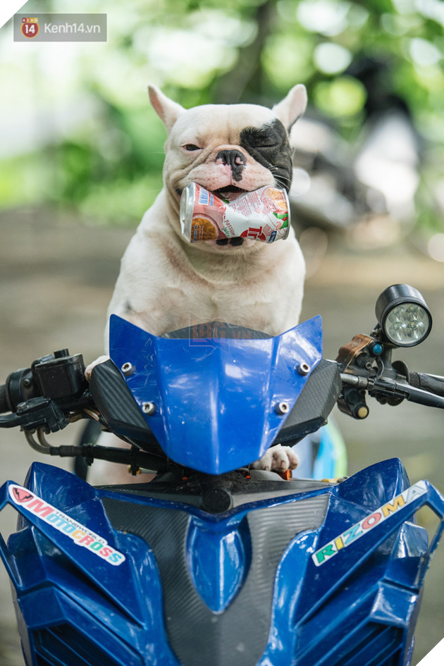 Đ&#226;y l&#224; gia t&#224;i &quot;si&#234;u to khổng lồ&quot; của Ủn - Ch&#250; ch&#243; th&#237;ch đi nhặt ve chai ở H&#224; Nội - Ảnh 9.