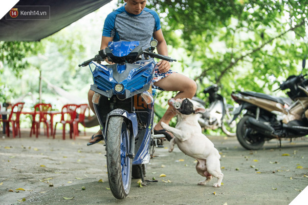 Đ&#226;y l&#224; gia t&#224;i &quot;si&#234;u to khổng lồ&quot; của Ủn - Ch&#250; ch&#243; th&#237;ch đi nhặt ve chai ở H&#224; Nội - Ảnh 9.