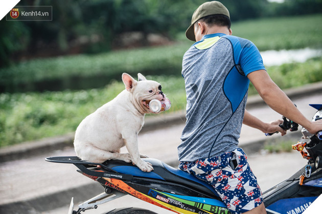 Đ&#226;y l&#224; gia t&#224;i &quot;si&#234;u to khổng lồ&quot; của Ủn - Ch&#250; ch&#243; th&#237;ch đi nhặt ve chai ở H&#224; Nội - Ảnh 9.